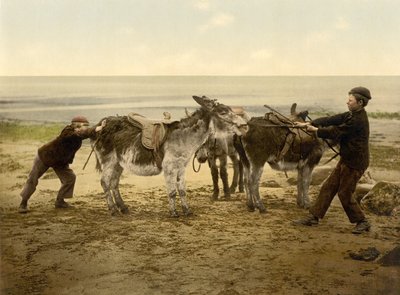 Ezels op het strand, uitgegeven ca. 1890 - 1900 door English Photographer